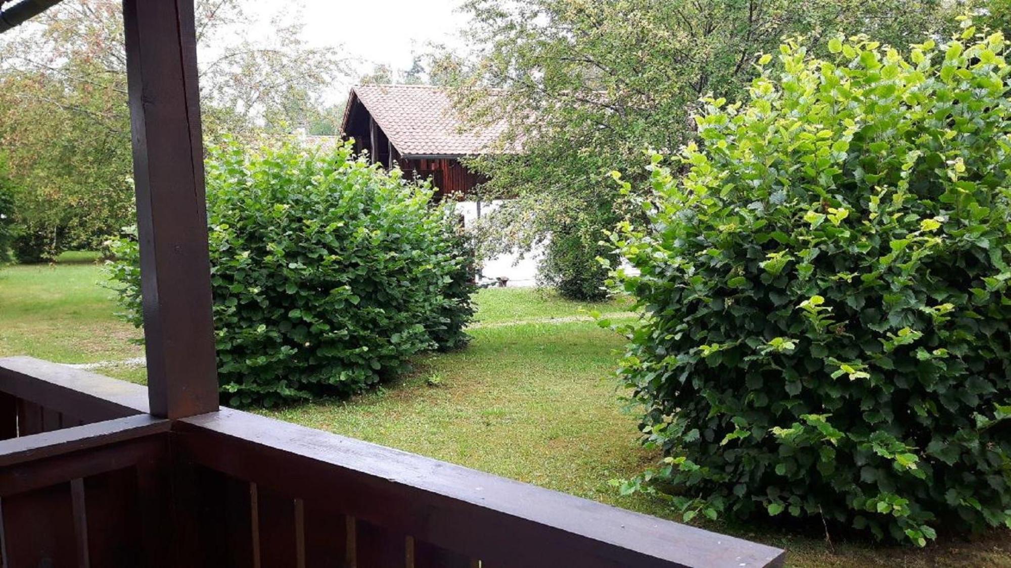 Ferienhaus Virzi - Waldferiendorf Regen Exteriör bild