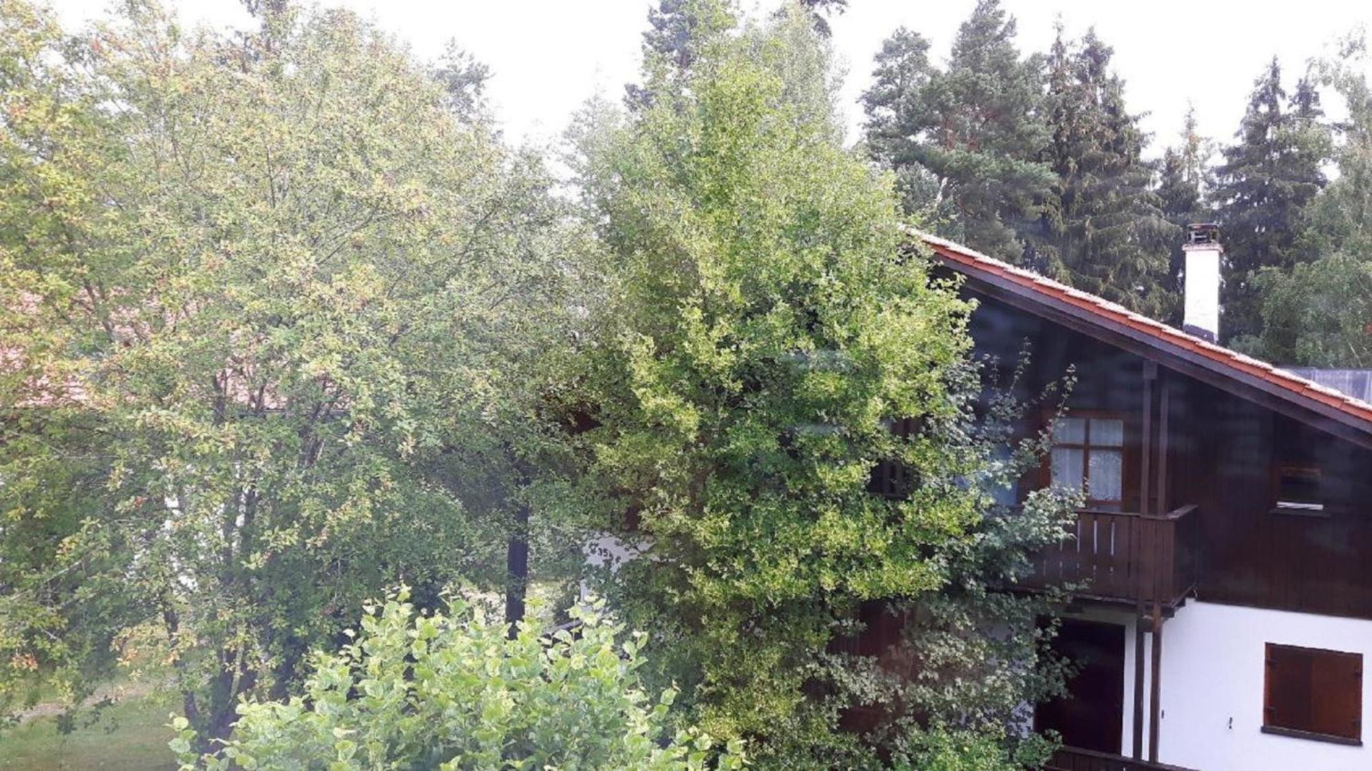 Ferienhaus Virzi - Waldferiendorf Regen Exteriör bild